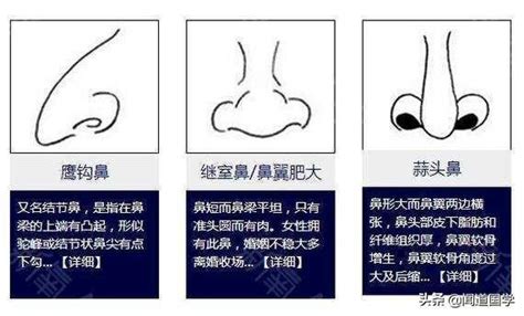 鼻子紅面相|面相學之鼻型解析、全面解讀鼻子與命運